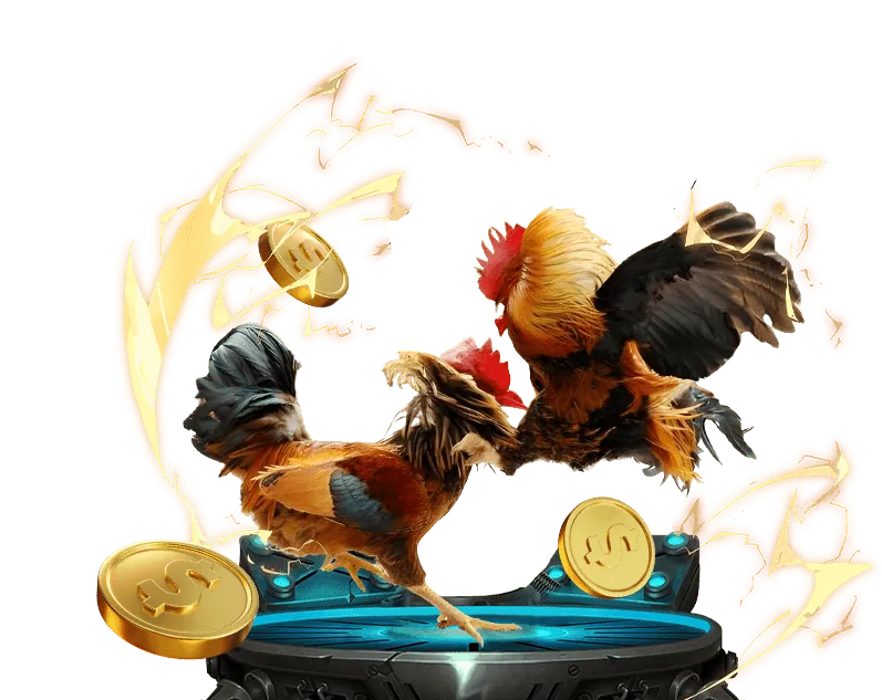 Mẹo cá cược thể thao Bong88